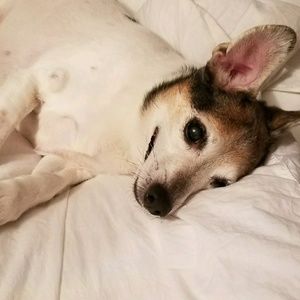 Meet your Posher, Nghi